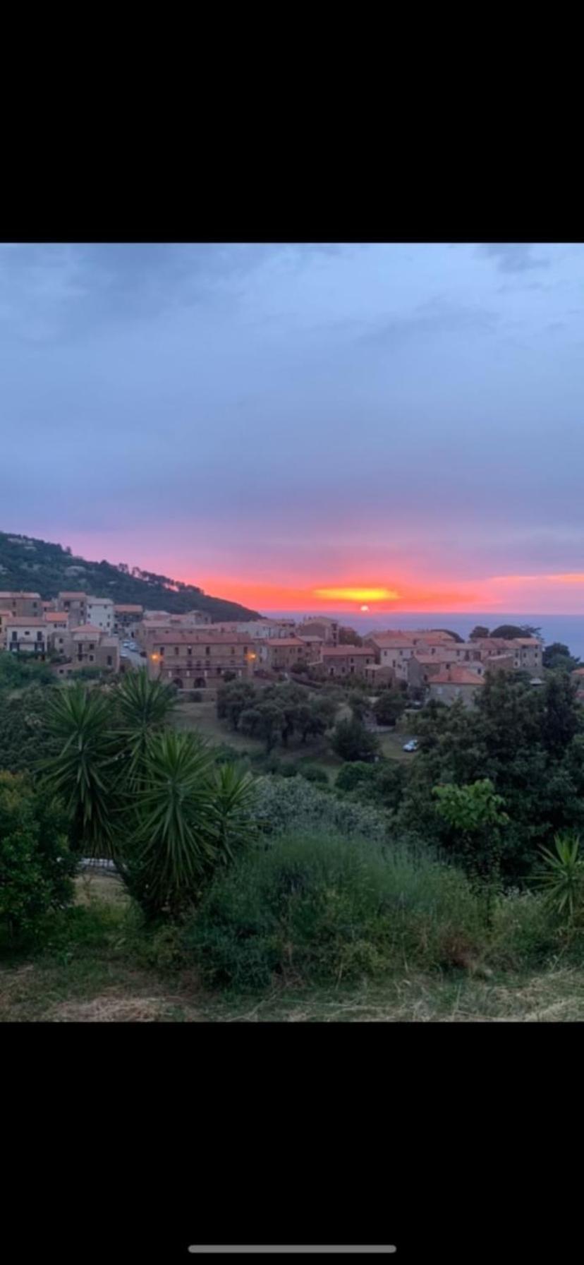 Hotel Les Calanques 皮亚纳 外观 照片